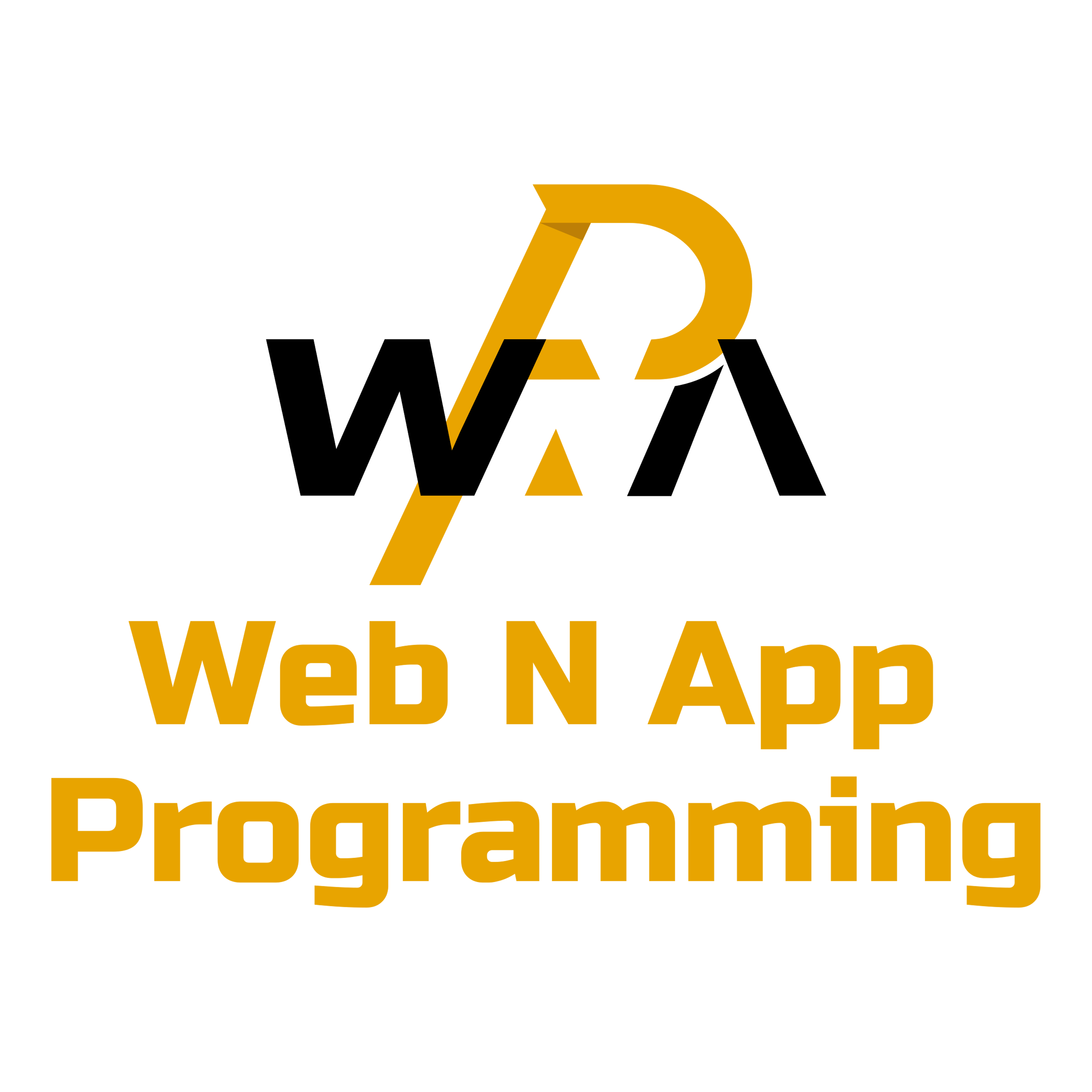Web N App Programming Logo