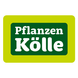 Pflanzen Kölle - Customer by Web N App Programming